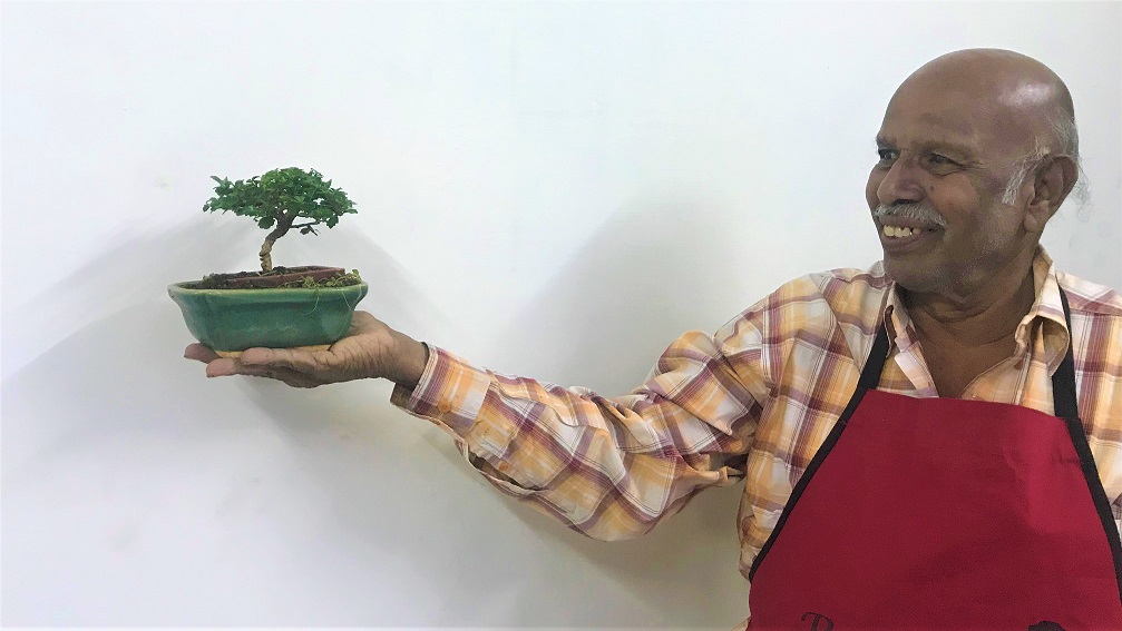 Introduction to BONSAI