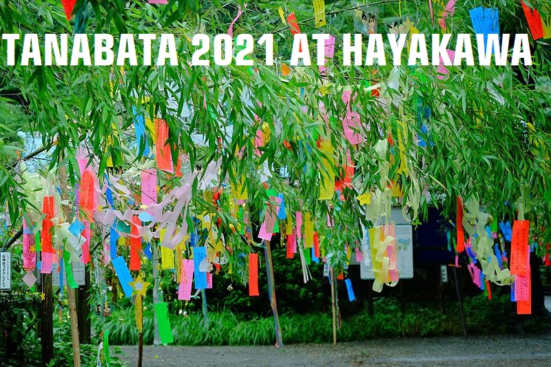 TANABATA 2021 